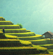 �ִ�ũҵ����