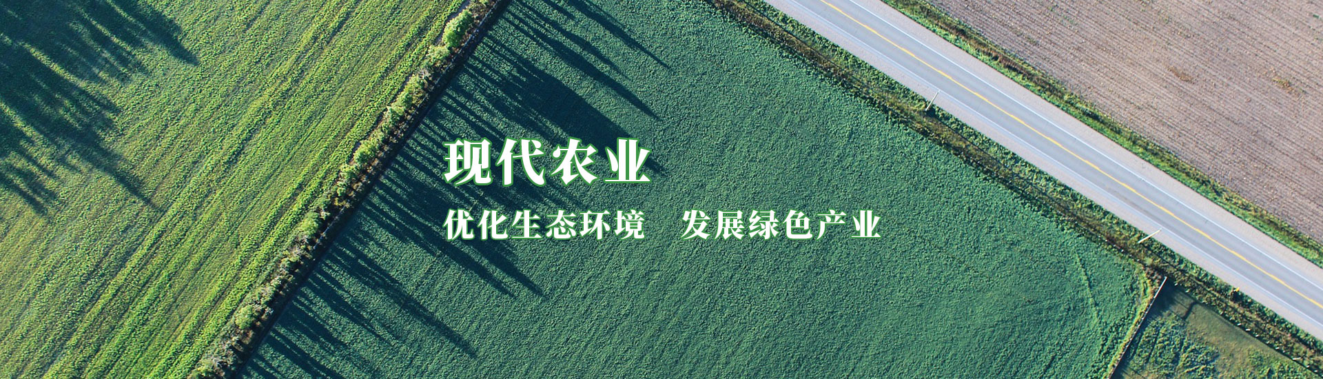 ���g22(����)�������-ÿ���о�ϲ