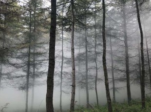 ���Ŀ�����ѯ�������޹�˾������������ƺ��Ӫ�ֳ���չ���˻��ɷ���ҵ